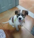 luki