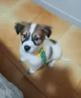 luki