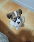 luki