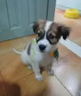 luki