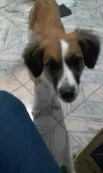 Cindi