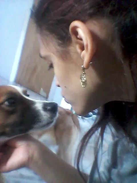 Cachorro raça SRD-ViraLata idade 6 ou mais anos nome Cindi