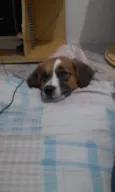 Cindi