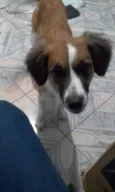 Cindi