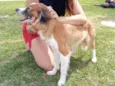 Cindi