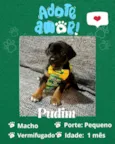 Pudim 