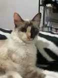 Frida