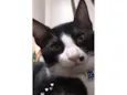 Francisco/Chico