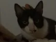 Francisco/Chico