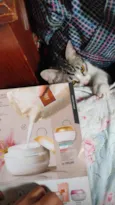 jeni