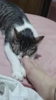 jeni