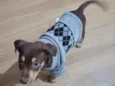 choco