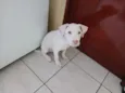 Lua