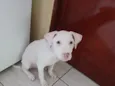 Lua