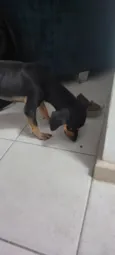 Espeto