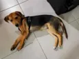 Sem nome definido