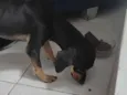 Espeto