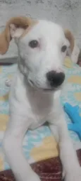 Boris