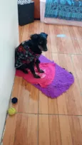 Fred 