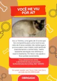 Tininha