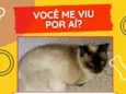 Tininha