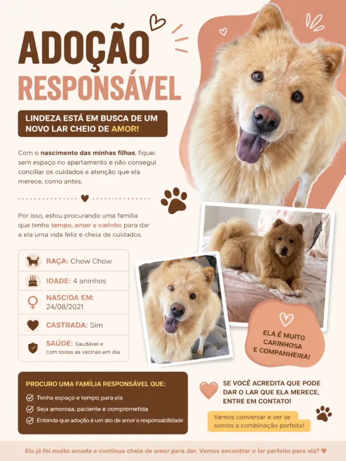 Cachorro raça Pit-Bull idade 4 anos nome Mel