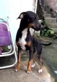 Bonnie, negão e negrinho