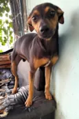 Bonnie, negão e negrinho