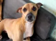 Bonnie, negão e negrinho