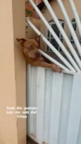 LUA