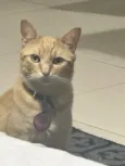 Arthur