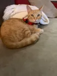 Arthur