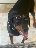 Maggie