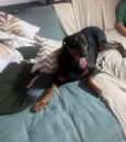 Maggie
