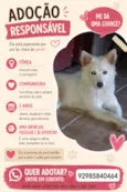 Princesa 