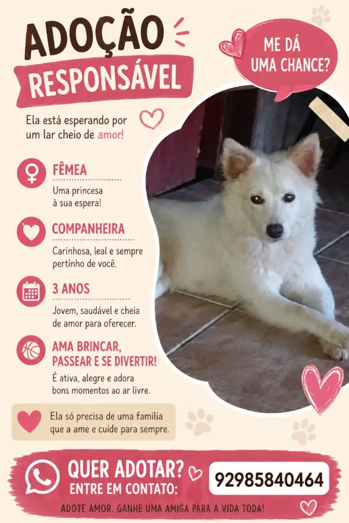 Cachorro raça SRD-ViraLata idade 3 anos nome Princesa 