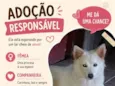 Princesa 