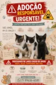 Gatinhas 