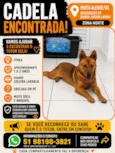 Não sei o nome mas estou chamando de Carmela 