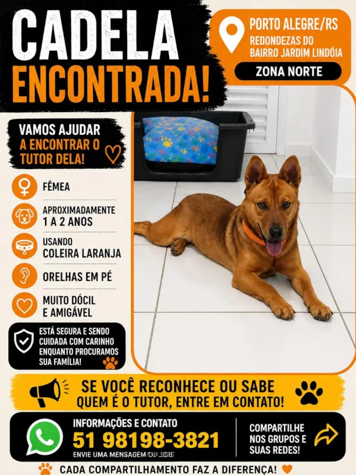 Cachorro raça SRD-ViraLata idade 1 ano nome Não sei o nome mas estou chamando de Carmela 