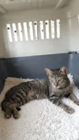Mia 