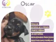 Oscar