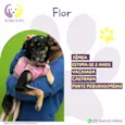 Flor