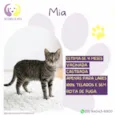 Mia