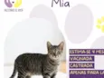 Mia