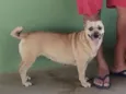 Bela