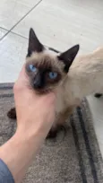 Nao sabemos 