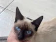 Nao sabemos 