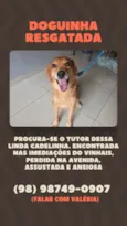 Sol