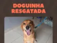Sol